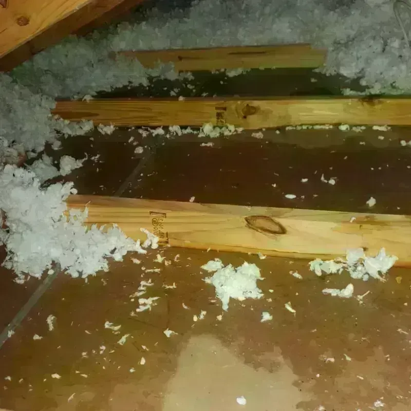 Attic Water Damage in Carrollton, GA