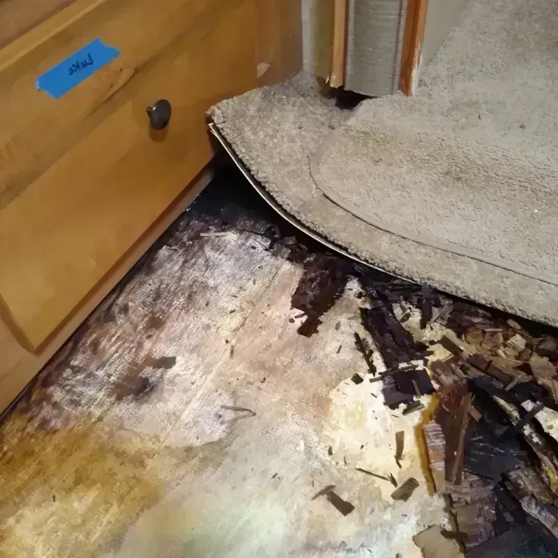 Wood Floor Water Damage in Carrollton, GA